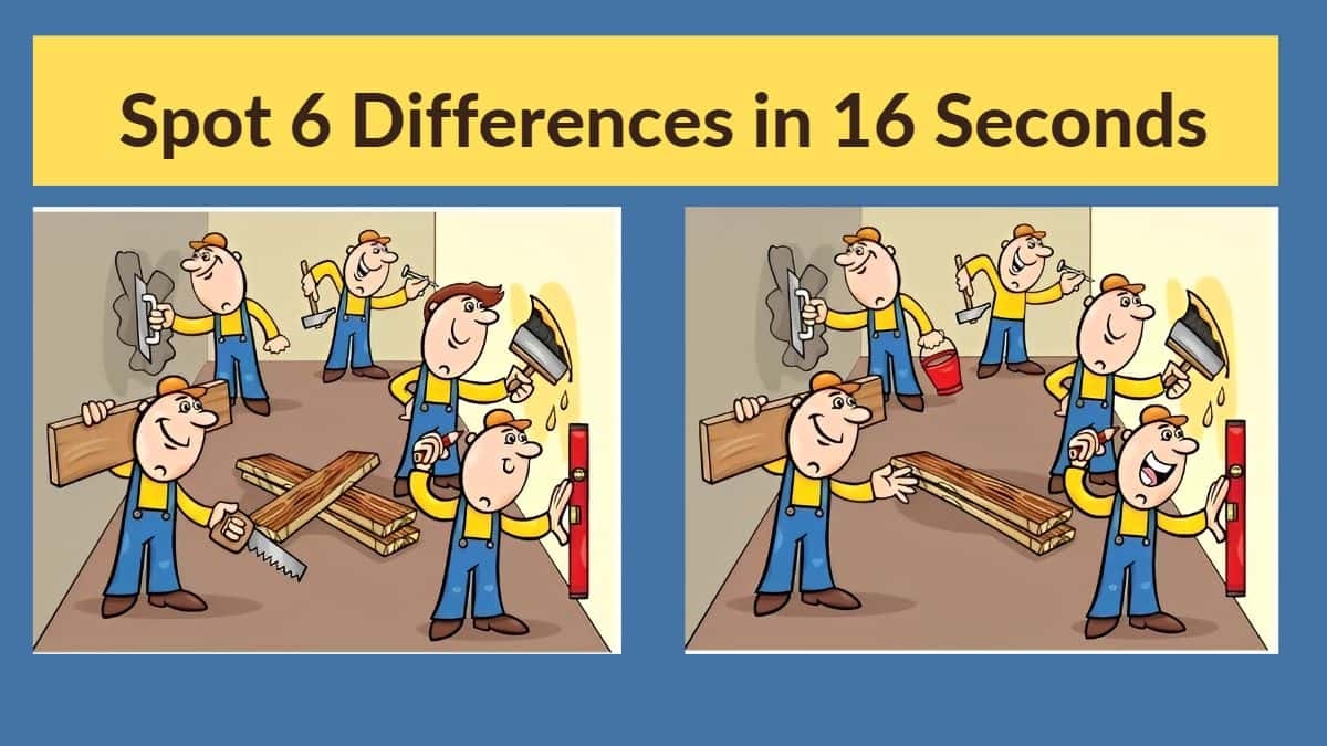 Spot The Difference Can You Spot 6 Differences Between The Two Images 