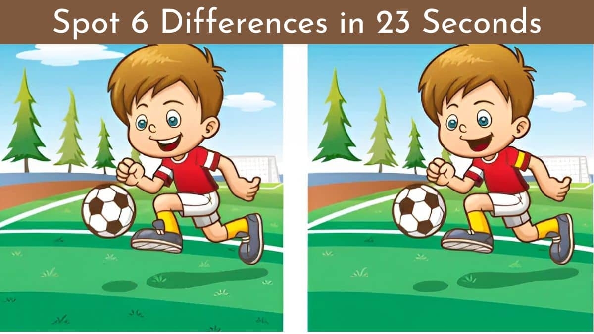 Spot The Difference Can You Spot 6 Differences In 23 Seconds 