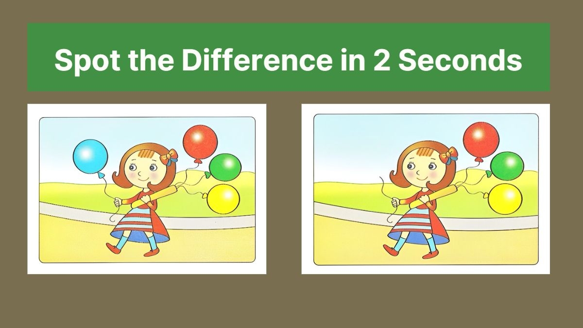 Spot The Difference Can You Spot The Difference Between The Two Images 