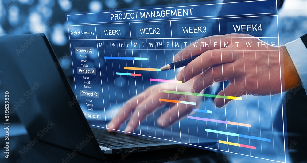 project noun