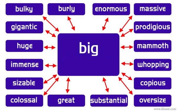 Synonym Words Big Vocabulary Home