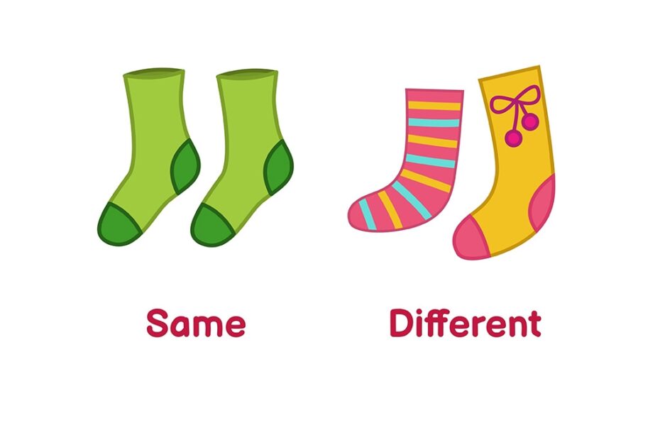 Teach Kids About The Concept Of quot Same Different quot