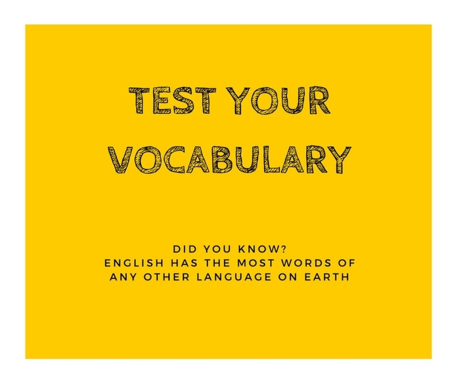 TEST YOUR VOCABULARY