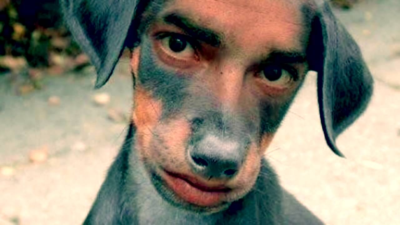 The Most Random Thing You 39 ll Ever See YouTube