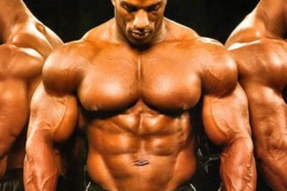 The Process Of Building Big Strong Muscles HubPages