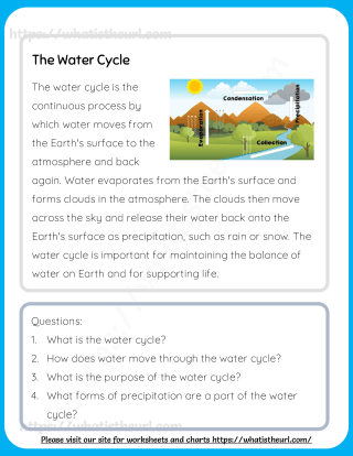 The Water Cycle Science Reading Comprehension Passages For Grade 4 