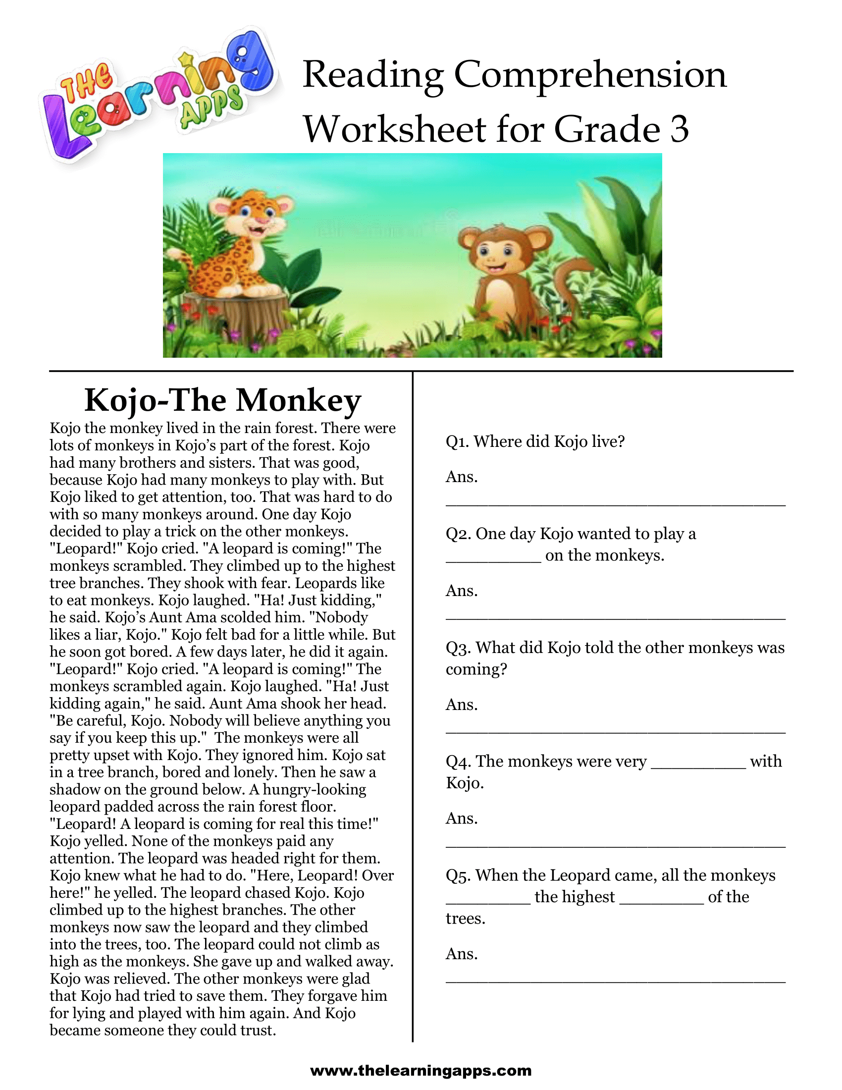 Third Grade Reading Comprehension Activities