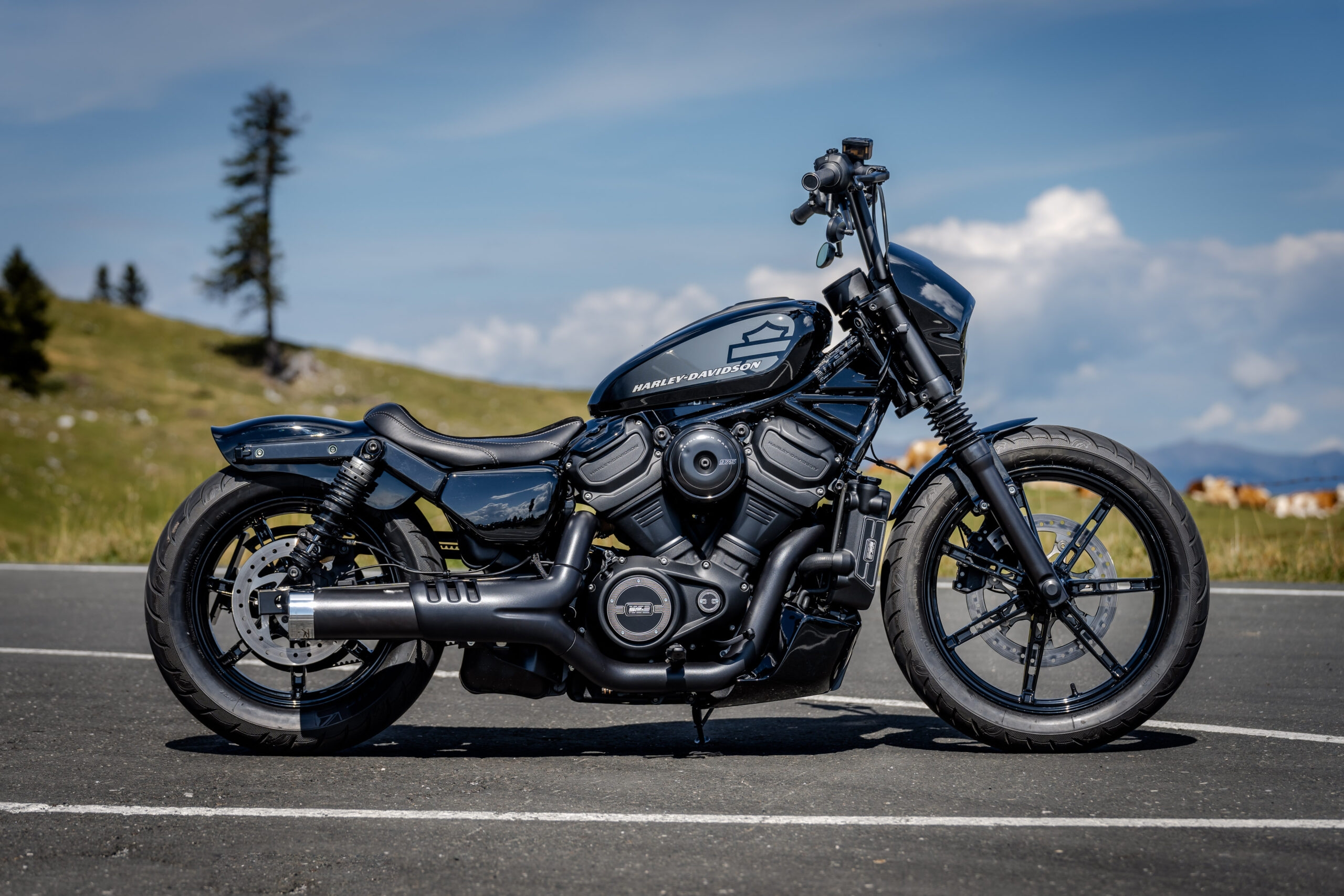 Thunderbike Night Flyer Harley Davidson Sportster Nightster