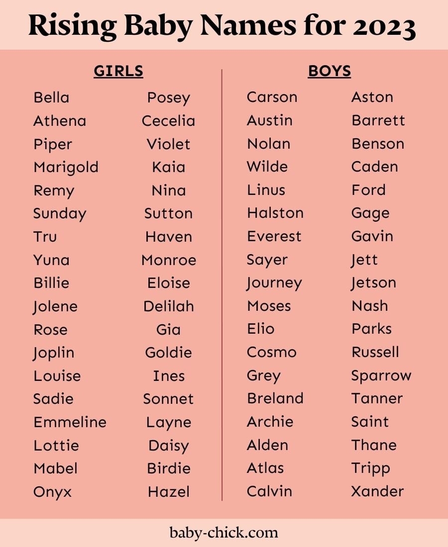 names of different groups animals