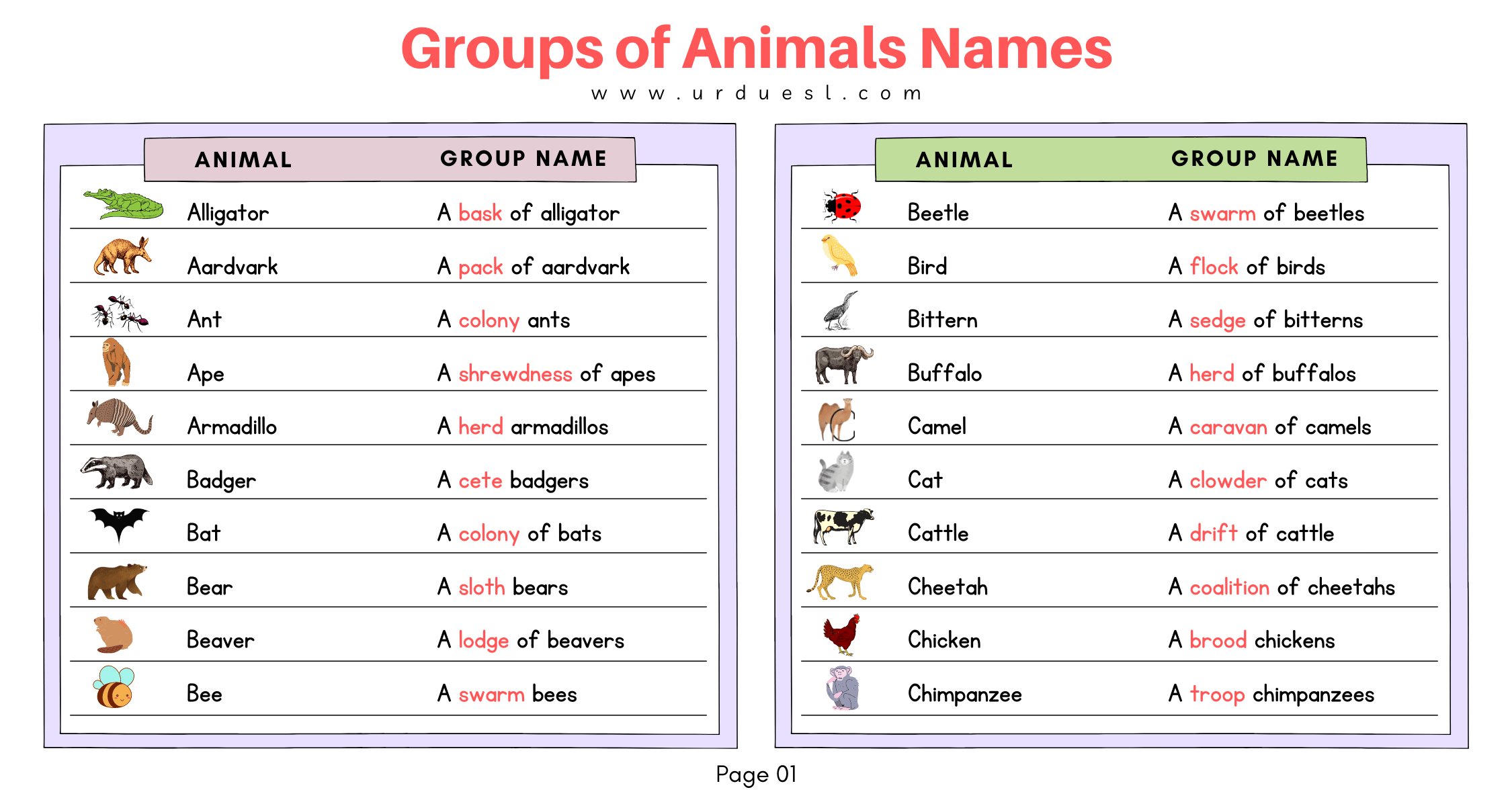 Top 120 Names Of Groups Of Animals List Pdf Inoticia