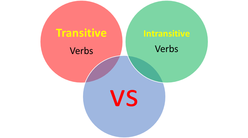 Transitive And Intransitive Verbs Examples English Syllabus Guru
