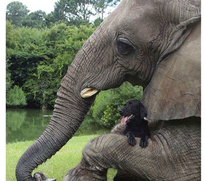 Very Interesting Photos Part 44 23 Pics