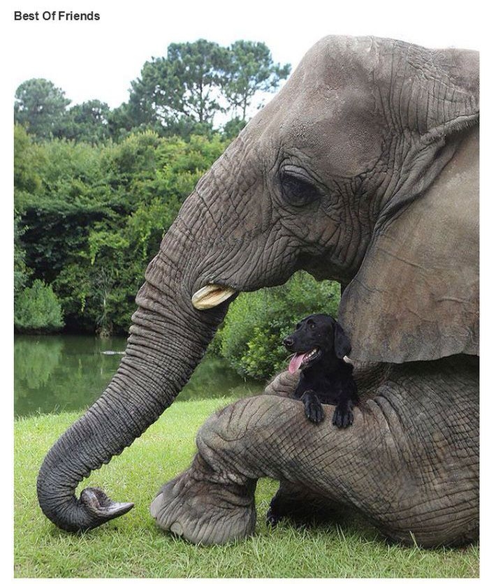 Very Interesting Photos Part 44 23 Pics 