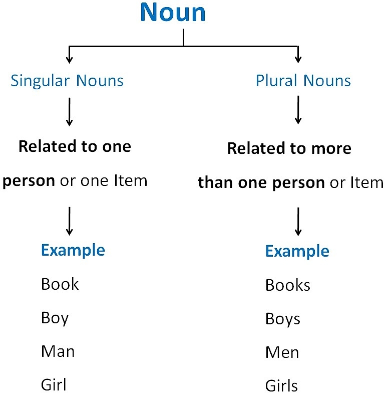 plural nouns for women