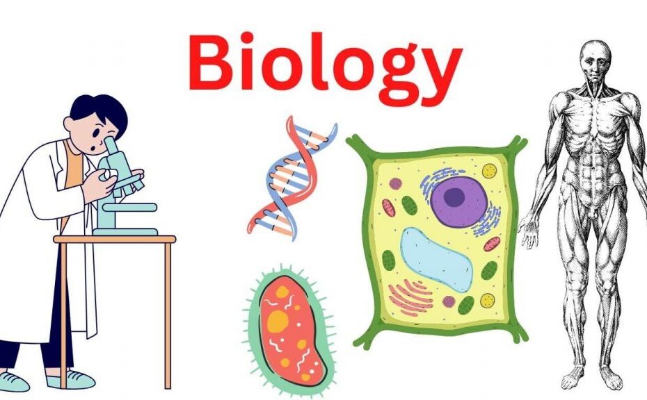 What Is Biology Definition Concepts Research Method