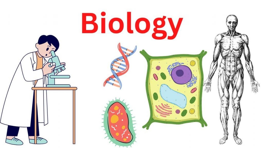 What Is Biology Definition Concepts Research Method