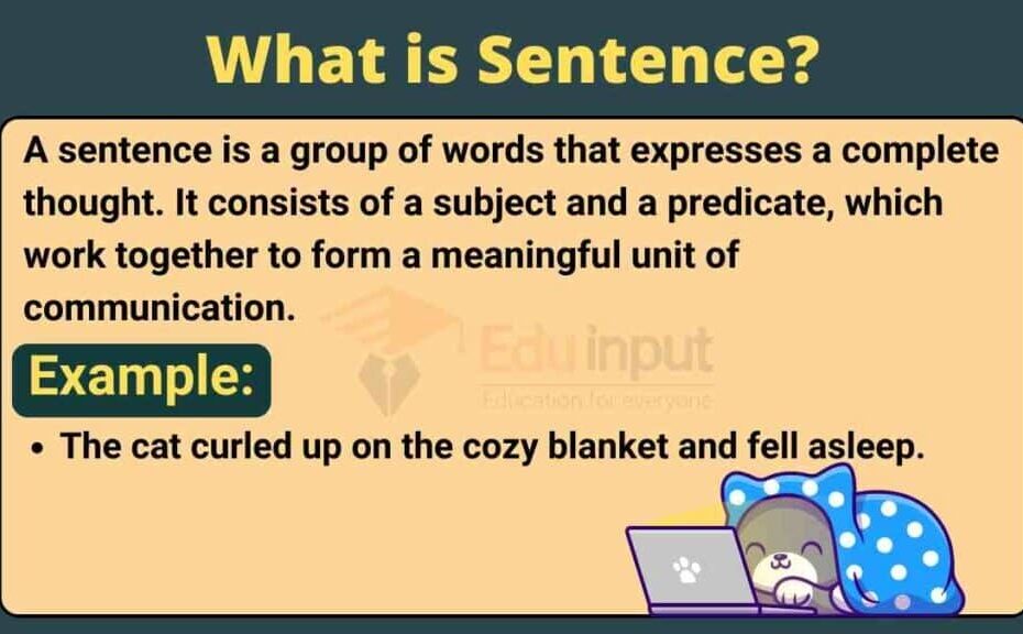 What Is Sentence Types Of Sentences According To Function And Structure