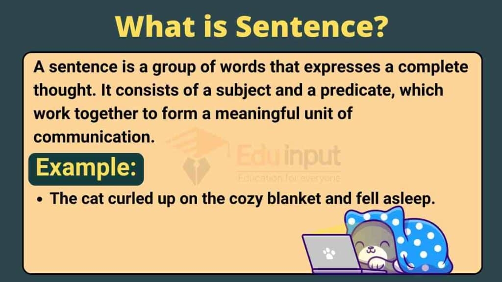 What Is Sentence Types Of Sentences According To Function And Structure