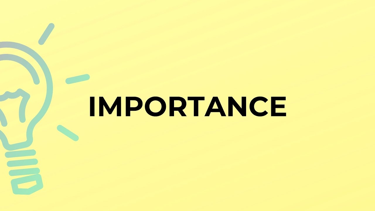 What Is The Meaning Of The Word IMPORTANCE YouTube