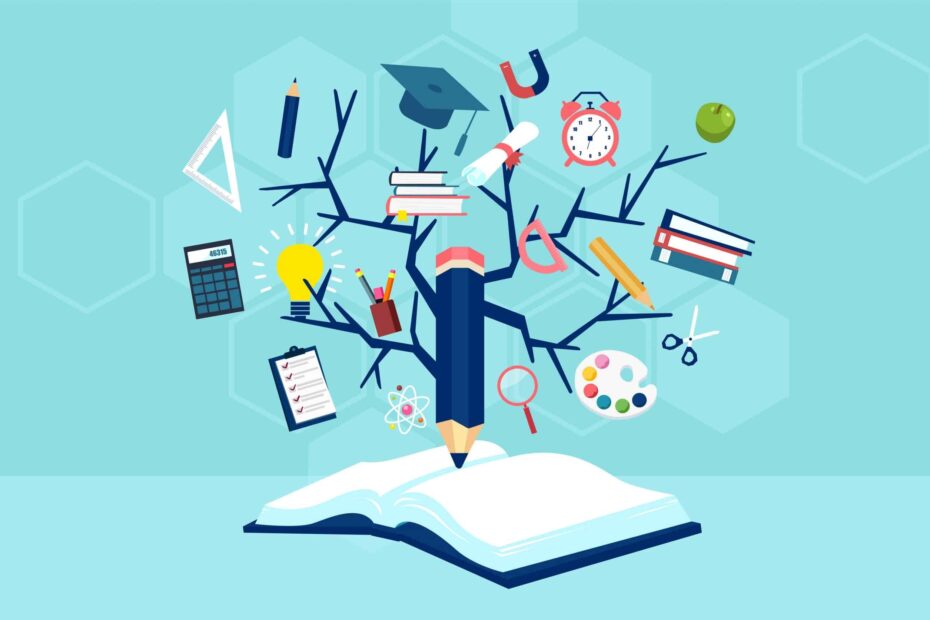 What Teachers Should Know About Knowledge And Learning THE EDUCATION HUB