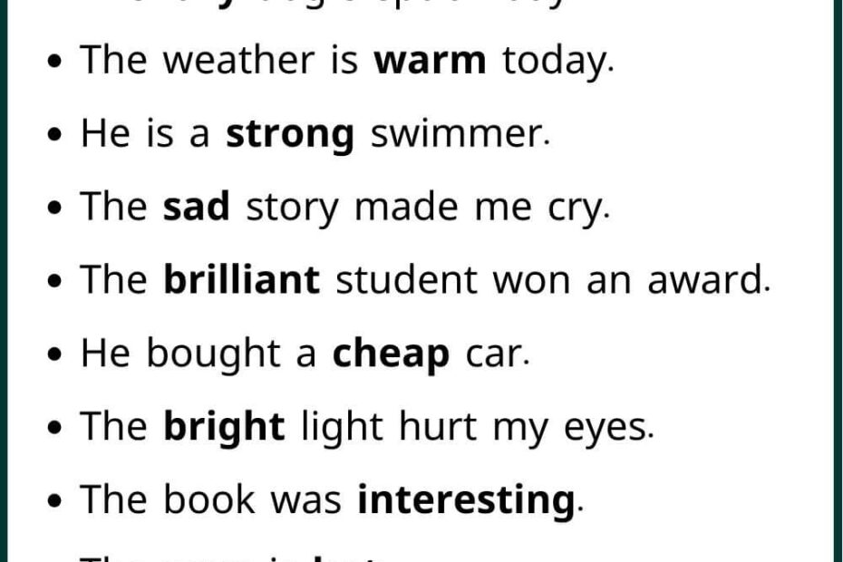 100 Adjective Example Sentence