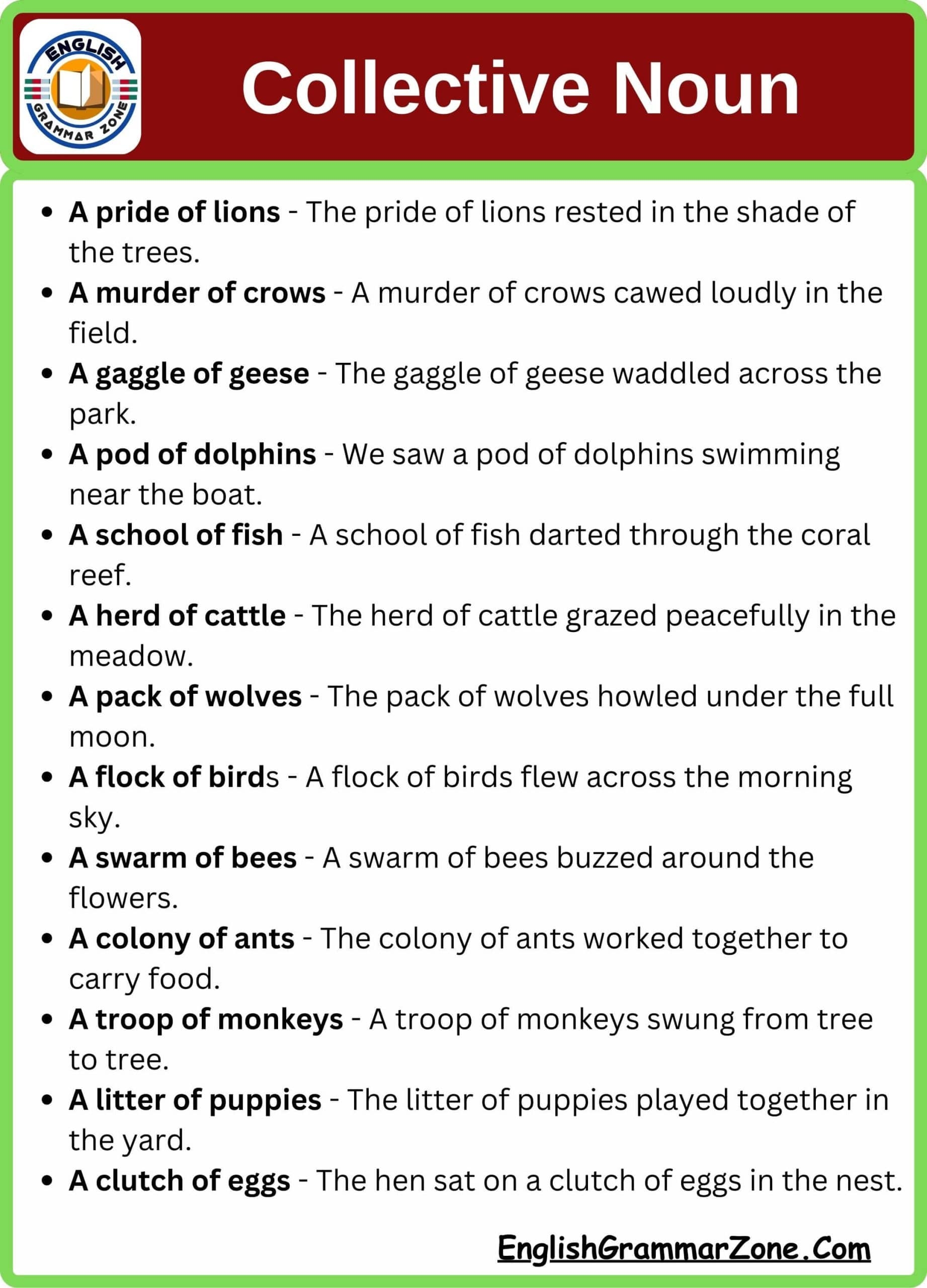 100 Collective Nouns With Sentence