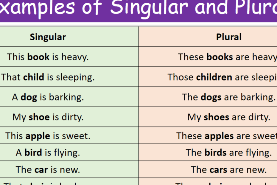 100 Examples Of Singular And Plural In English MR MRS ENGLISH