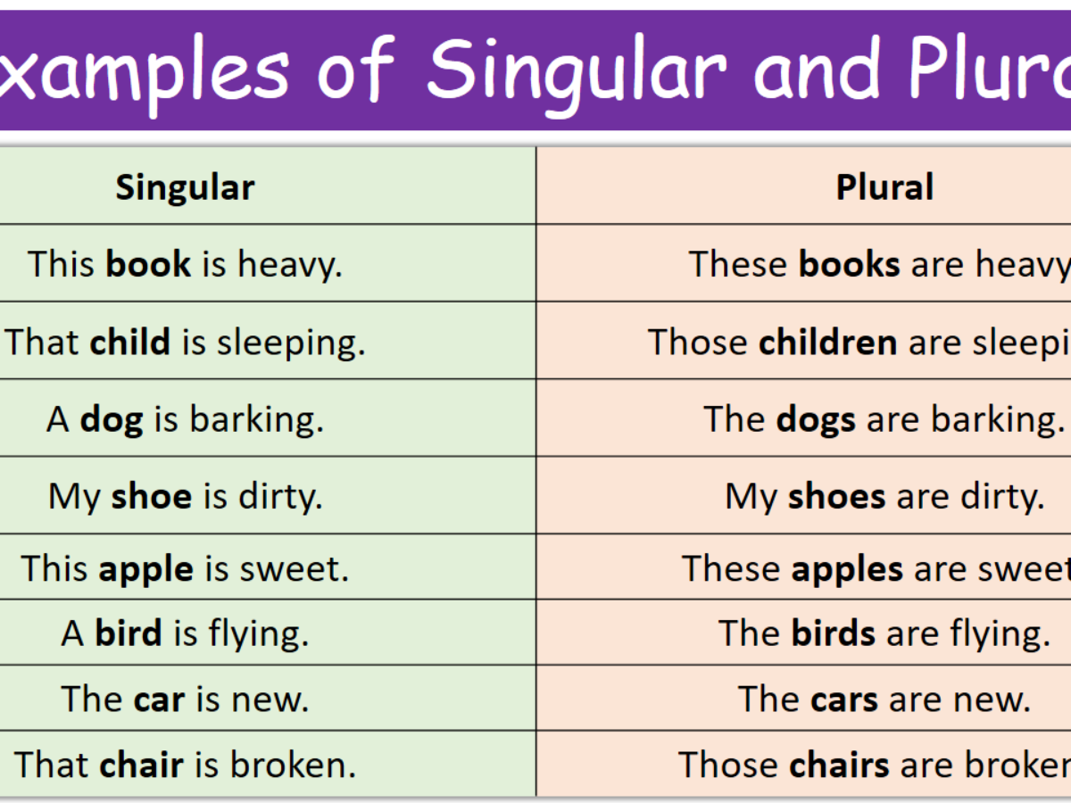 100 Examples Of Singular And Plural In English MR MRS ENGLISH