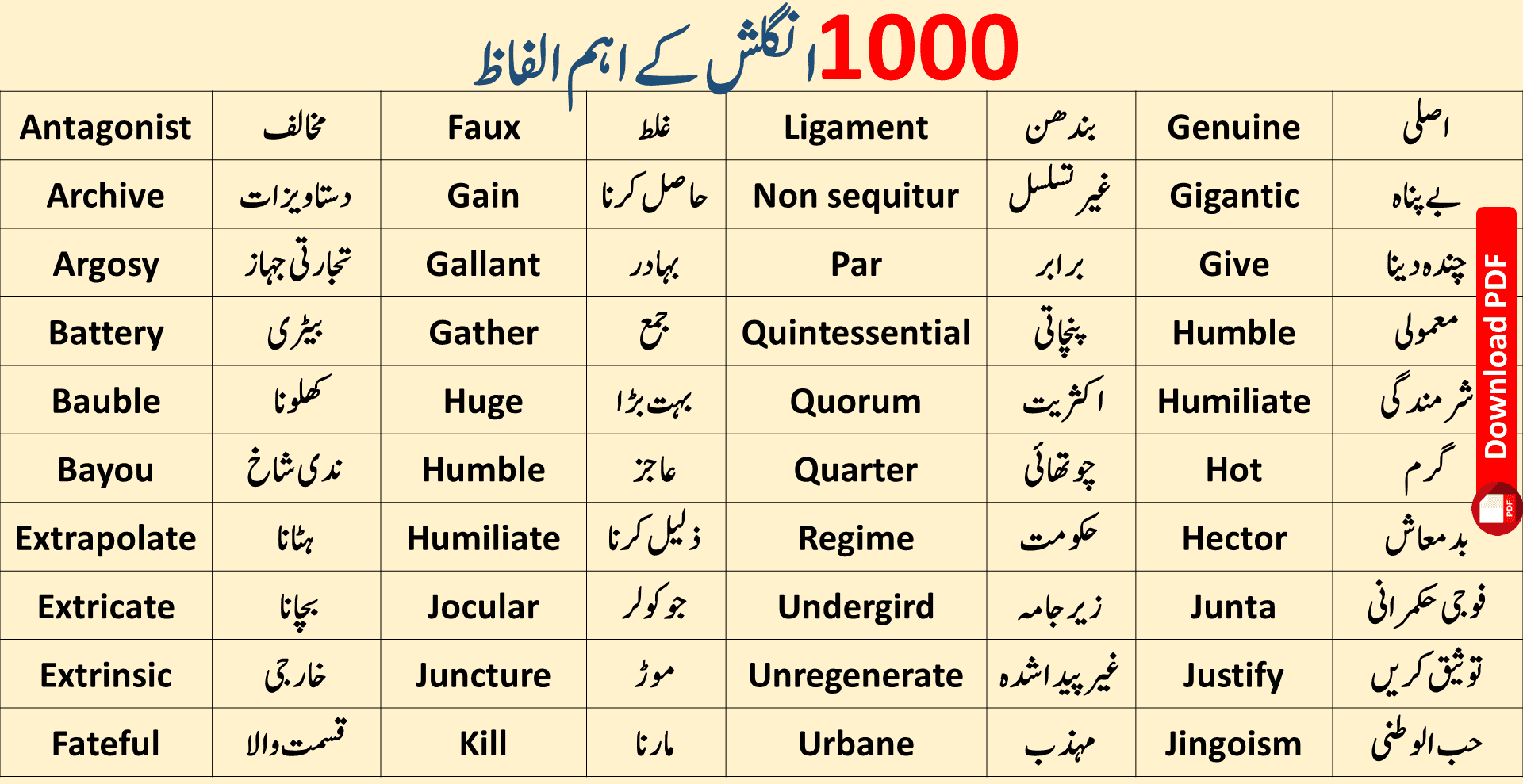 100 daily use english words with meaning