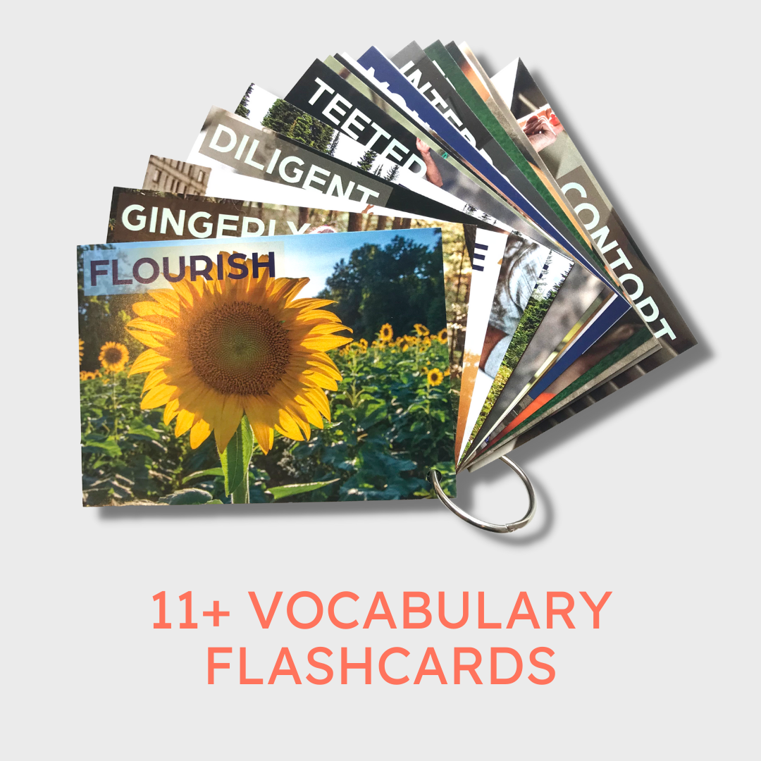 11 Illustrated Vocabulary Flashcards Box Of 75 Digital 