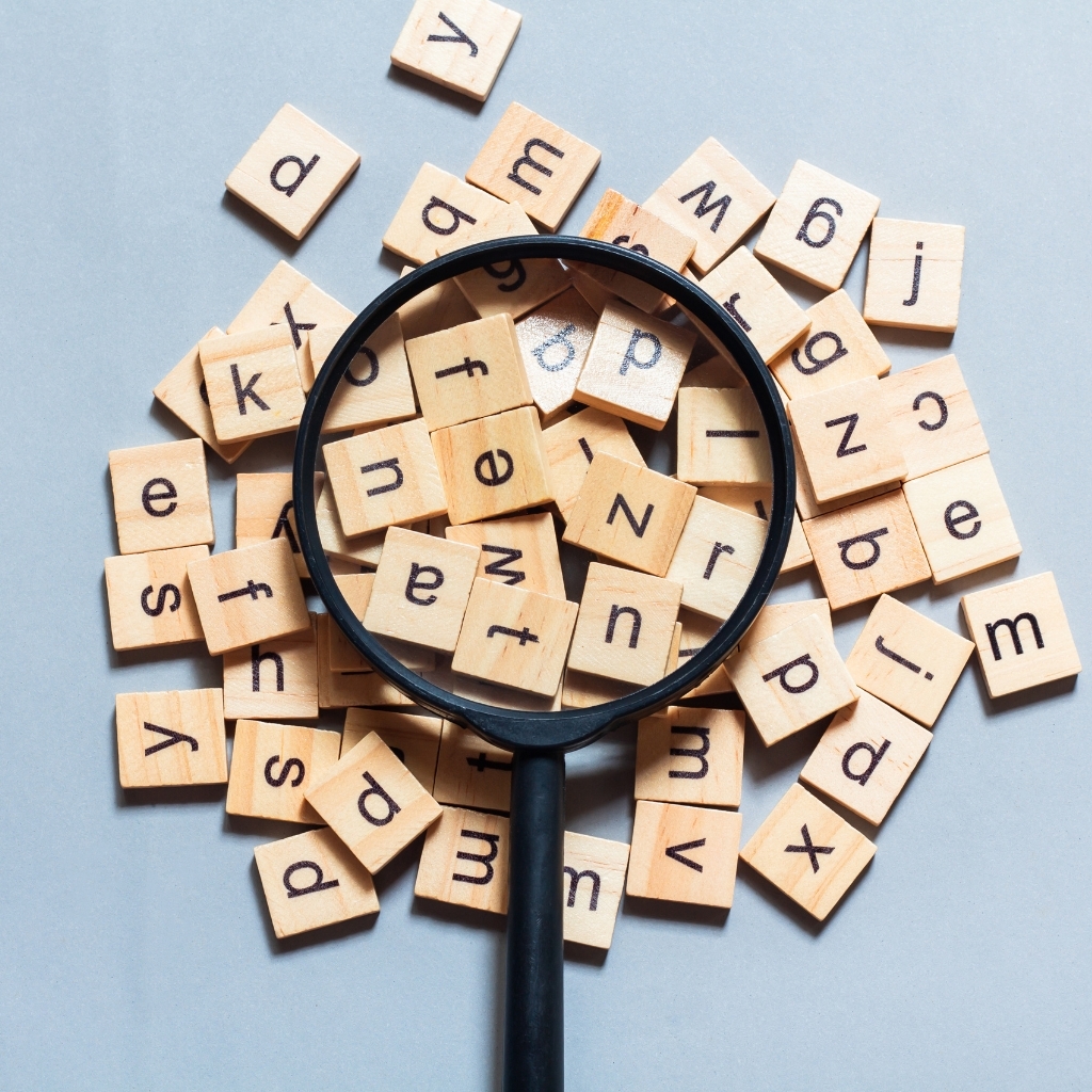 vocabulary exercises for beginners