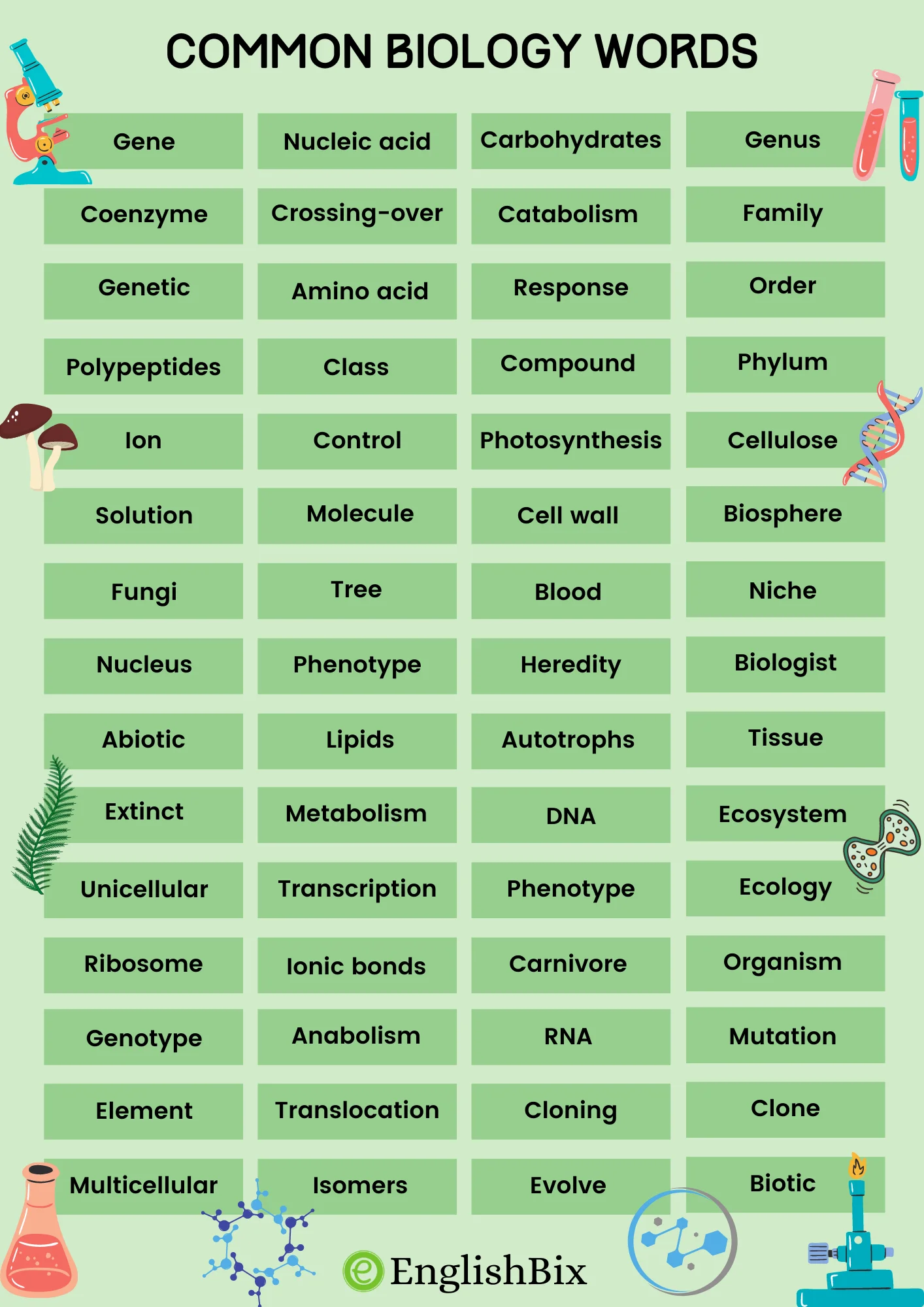 150 Biology Vocabulary Words List For Kids EnglishBix