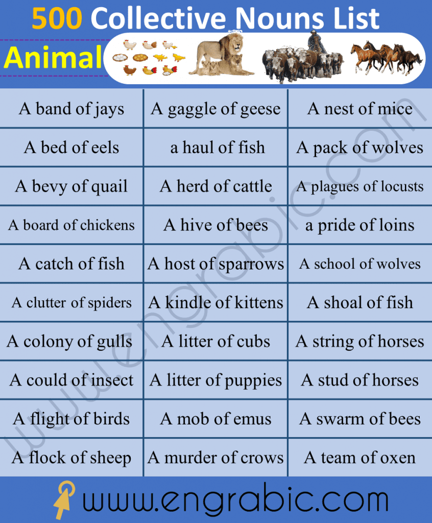 200 Collective Nouns List PDF People Things Animals Engrabic