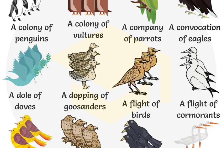 250 Collective Nouns For Animals In English 7ESL