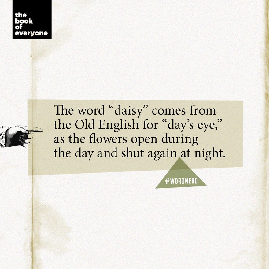 27 Weird But Interesting Facts About Words That You Probably Didn 