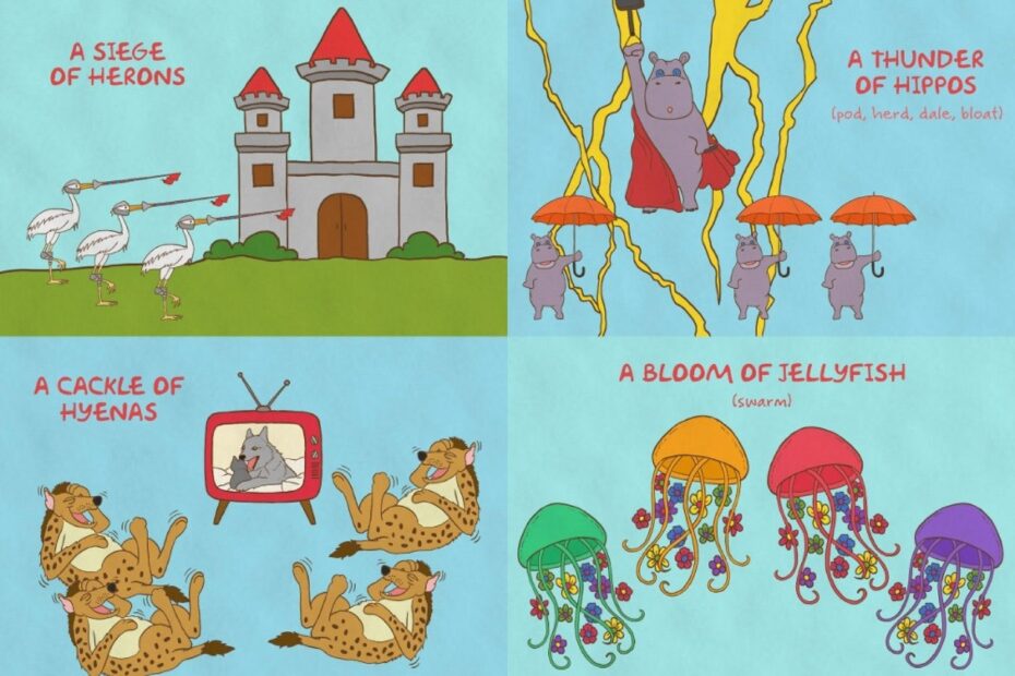 30 Quirky Collective Nouns For Animals Scribendi