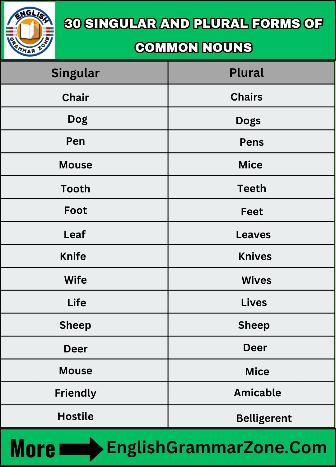 30 Singular And Plural Forms Of Common Nouns