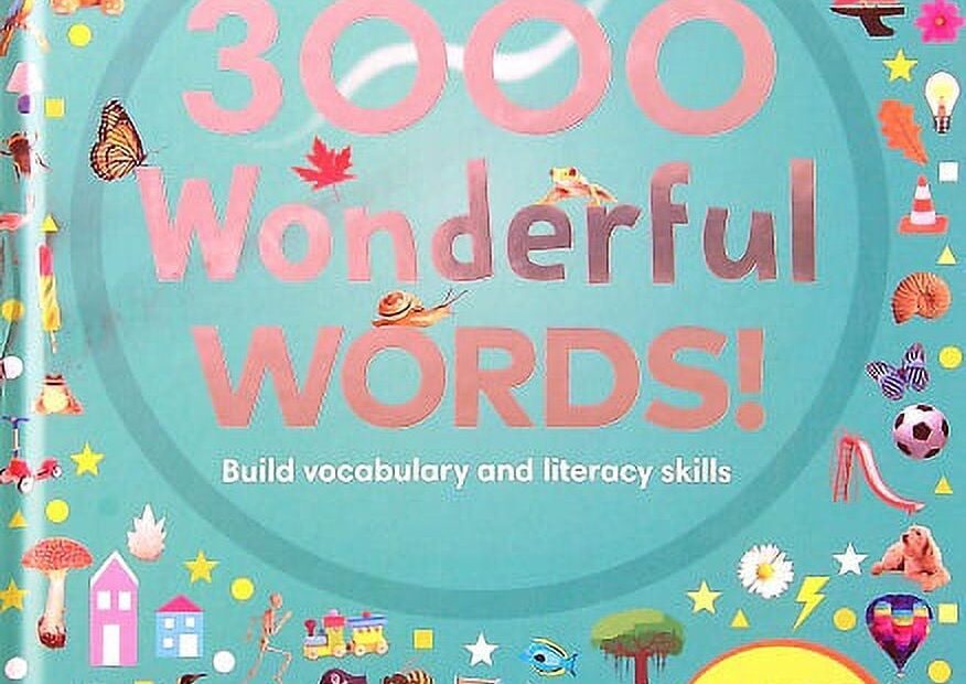 3000 Wonderful Words Build Vocabulary And Literacy Skills Walmart