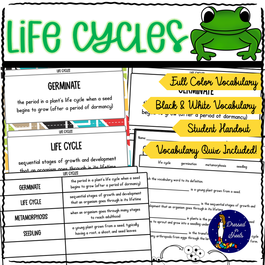 4th Grade Life Cycle Vocabulary Made By Teachers