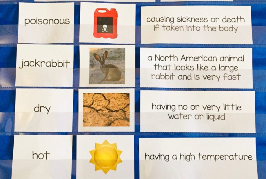 5 Engaging Strategies For Teaching Vocabulary Words Life Between Summers