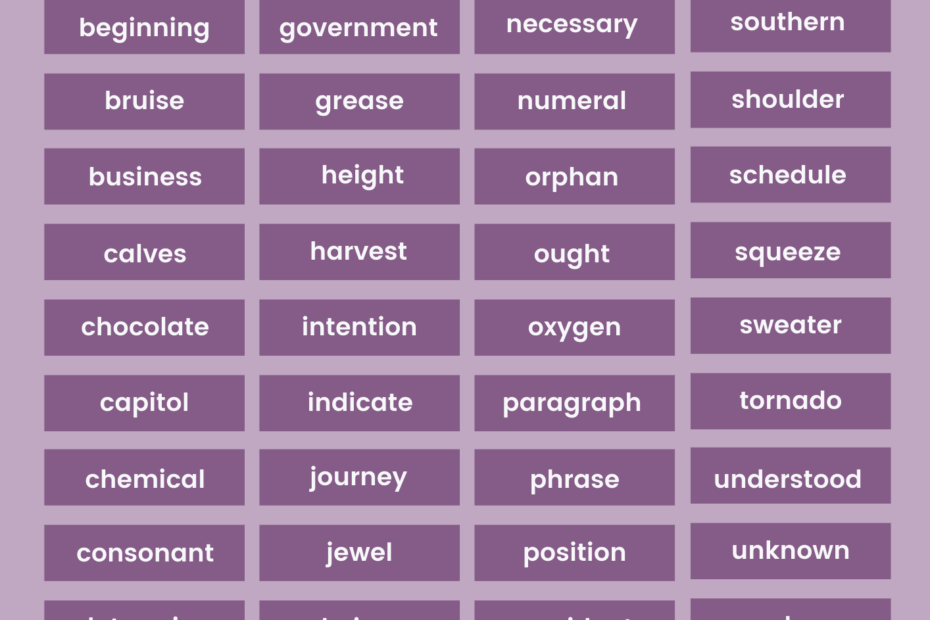 5th Grade Spelling Bee Words List EnglishBix