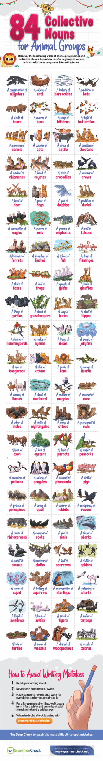 group nouns for animals