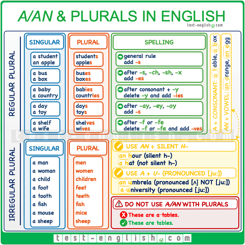 A an Plurals Singular And Plural Forms Test English