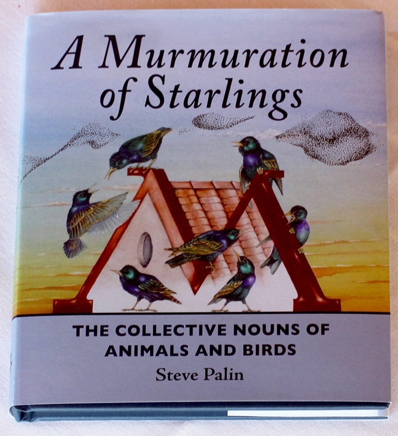 A Murmeration Of Starlings The Collective Nouns Of Animals And 