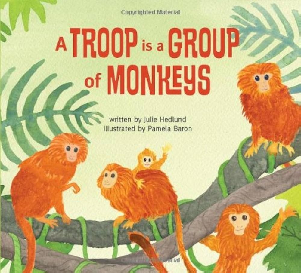 A Troop Is A Group Of Monkeys