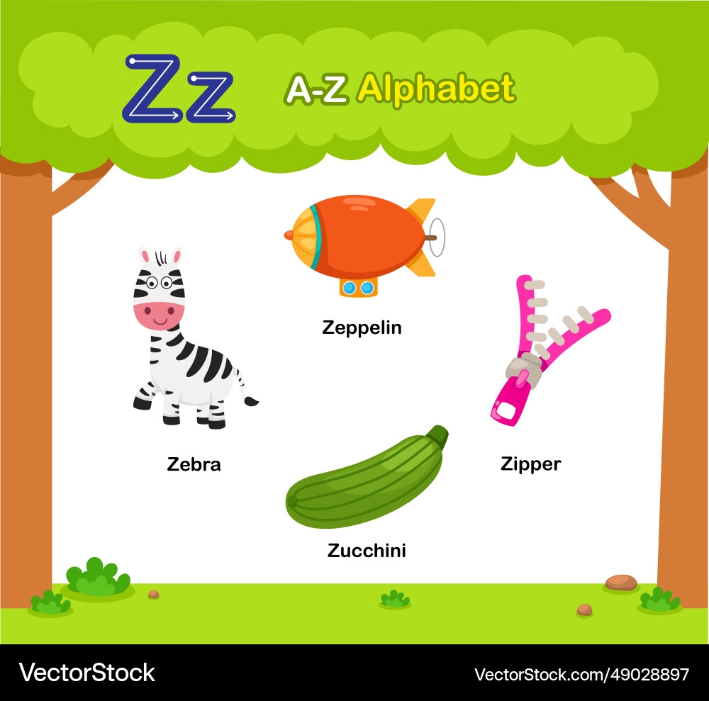 Alphabet Letter Z Education Vocabulary Royalty Free Vector