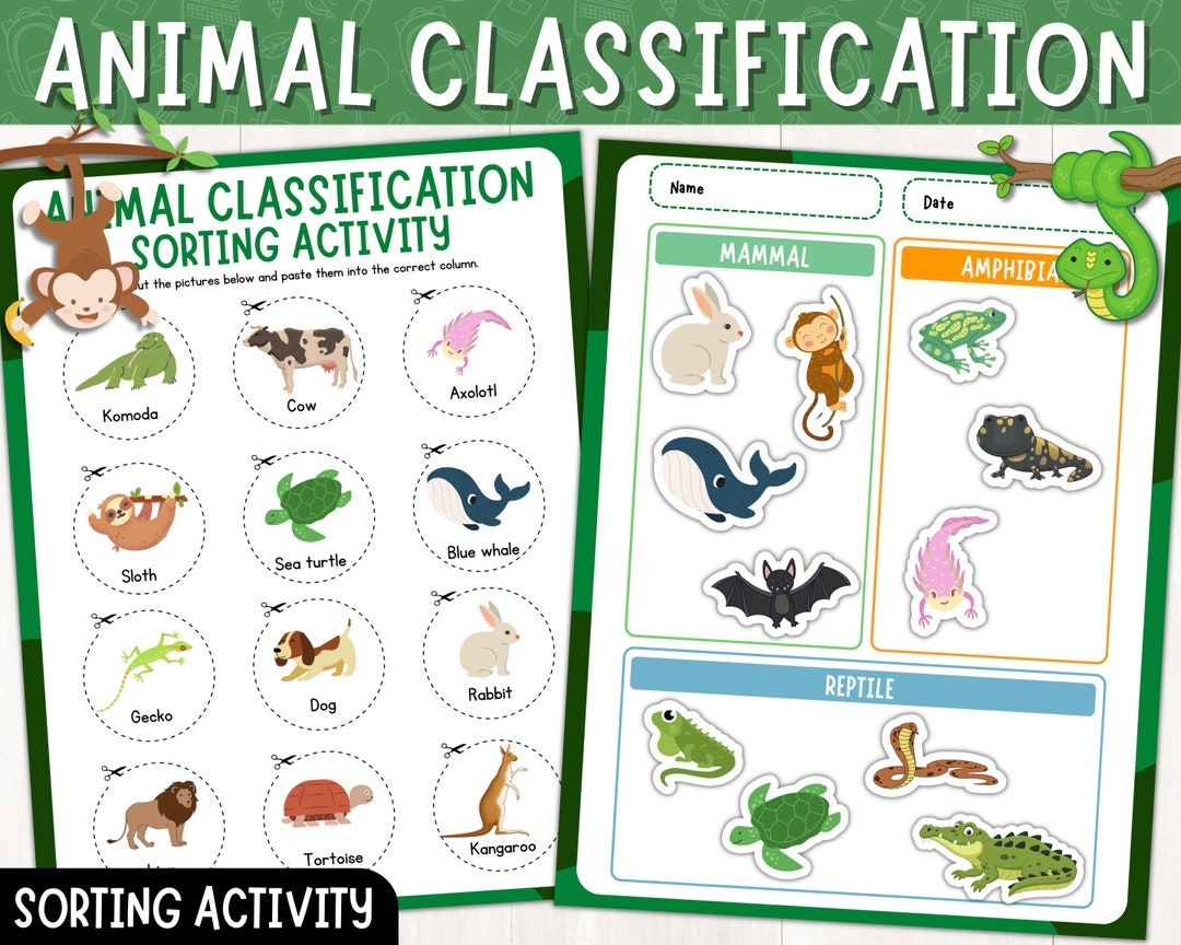 animals classified by their size