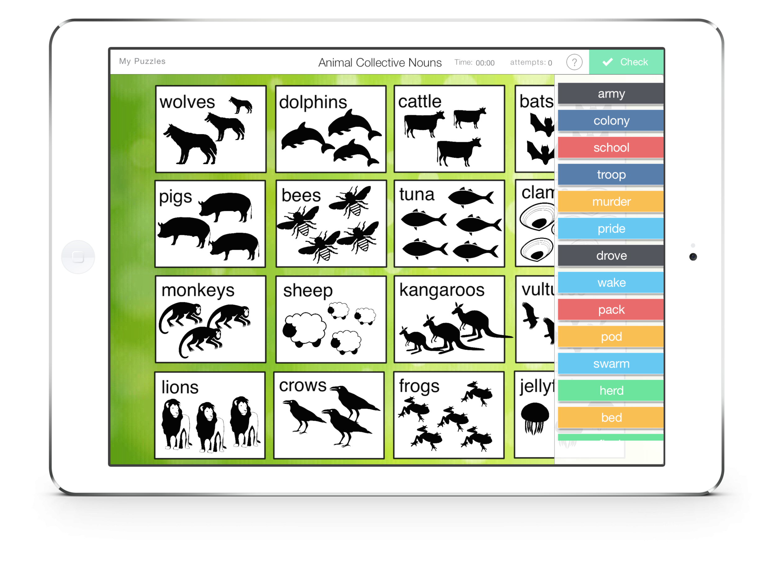 collective nouns of animals
