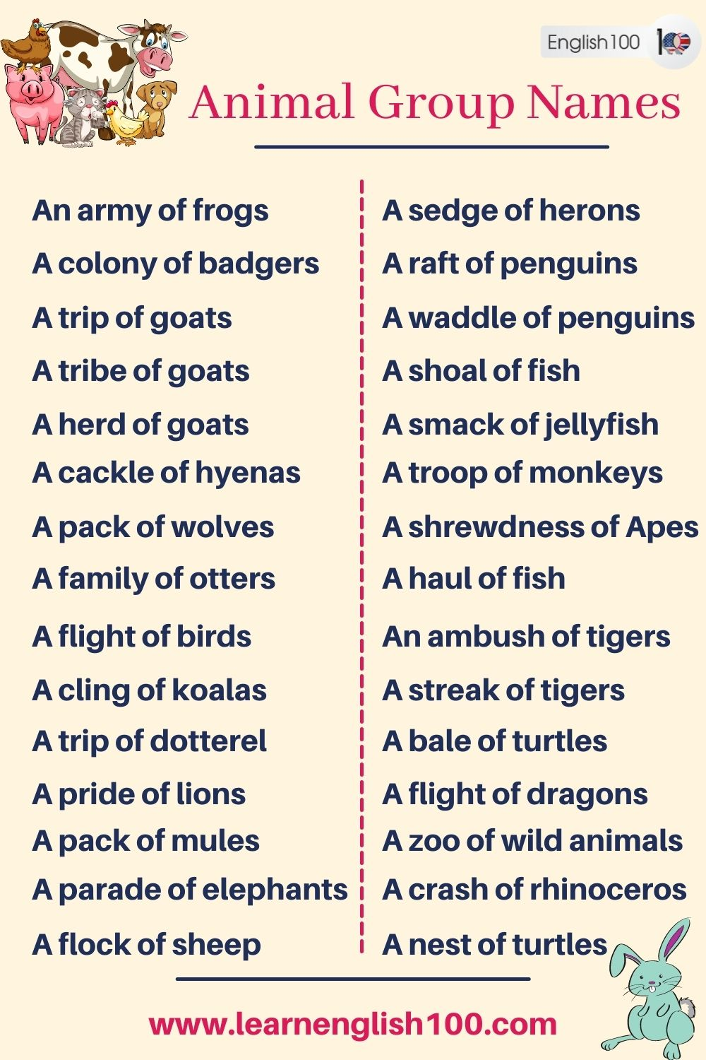 Animal Group Names A Comprehensive Guide To The Fascinating World 