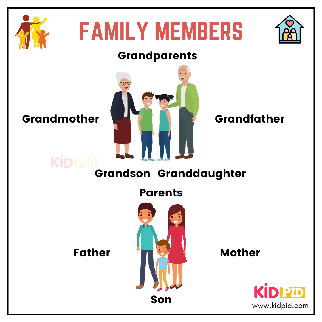 Basic English Vocabulary Words For Kids Kidpid